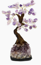 Load image into Gallery viewer, Amethyst Bonsai Gem Tree